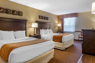 Comfort Inn at Thousand Hills - 5