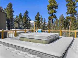 Powder Ridge 209 condo - Breckenridge - 6