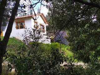 Cabañas Campestres Alcalá - Paipa - 5