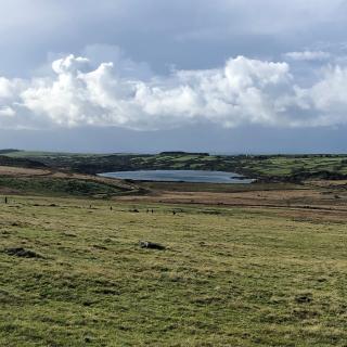 Fernleigh Cottage - 9