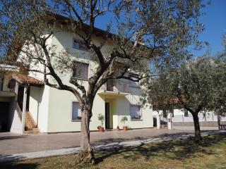 B&B Agli ulivi - 0