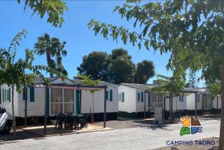 Camping Tauro - Benicàssim - 9