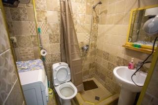 downtown apartment near Sulfur baths - 2