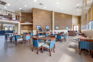 Comfort Inn Warner Robins - Robins Air Force Base Area - Warner Robins - 5
