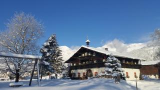 Ferienwohnung am Baby & Kinderbauerhof Stefflhof - Saalfelden am Steinernen Meer - 7