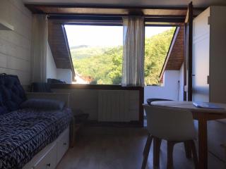 Studio 2 étoiles BEL AURE 3 - Saint-Lary-Soulan - 8