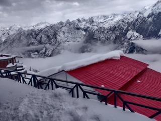Mountain Rover Auli Resort - 9