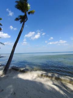 Kiki Coconut Beach Resort - 3
