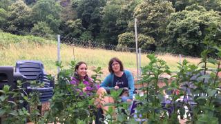 Gite Ballestan - Saint-Béat - 1