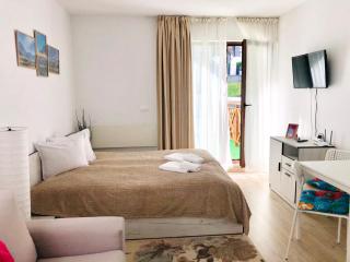 Temerso Studio-Apartment - Bansko - 7