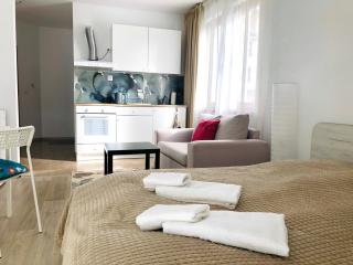 Temerso Studio-Apartment - Bansko - 3