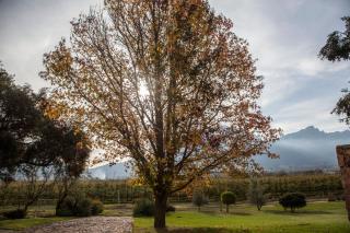 Bergsicht Country Farm Cottages - Tulbagh - 5