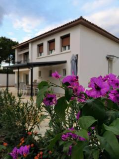 Maison de charme - Castries - 8