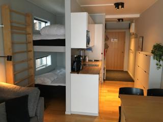 Arctic Lodge - Riksgränsen - 1