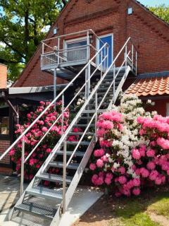 Ferienwohnung JAGODA in der Lüneburger Heide - Frankenfeld - 2