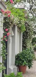 Los Tarcos Guest House - 7