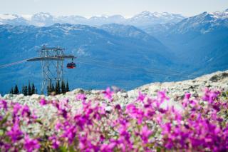 Amazing Village Location with PRIVATE Hot Tub - Whistler - 6