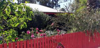 Nannup Homestay - Nannup - 9