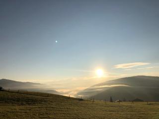 ZI.INS Apartments - 9