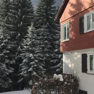 Ferienwohnung Börner ll - Kniebis - 8