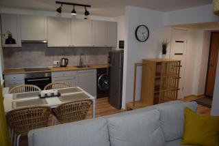 Sun apartments - Anykščiai - 9