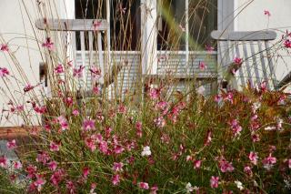 Ferienhaus Windrose - Breege - 6