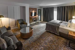 HOTEL BOUTIQUE DONNA ANNA - Timişoara - 5