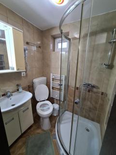 VILA VALENCIA - Azuga - 1