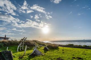 The Jewel of the Nye - Newport - 8