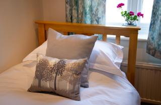 The Blue Bell - Midhurst - 4