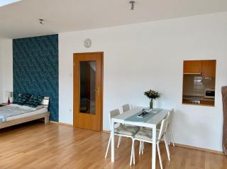 ORANGEHOMES large studio apartment Erkel street - Budapest - 9