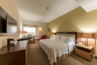 Holiday Inn Guadalajara Select by IHG - Guadalajara - 8