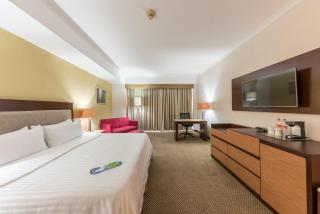 Holiday Inn Guadalajara Select by IHG - Guadalajara - 4