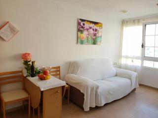 Holiday Home Salinas 7 - Alicante - 8