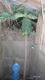 DucknChill-Agonda - Agonda - 8
