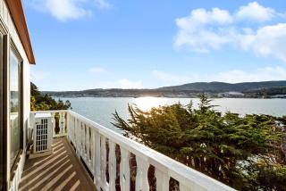 Harbour Views - Dunedin - 2
