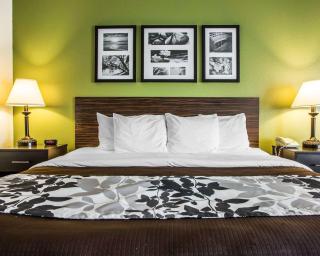 Sleep Inn & Suites - Wisconsin Rapids - 1