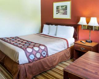 Rodeway Inn Florence - Cincinnati South - Florence - 5
