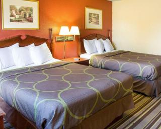 Rodeway Inn Florence - Cincinnati South - Florence - 8