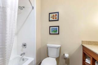 Comfort Suites San Antonio Ft Sam Houston-SAMMC Area - San Antonio - 4