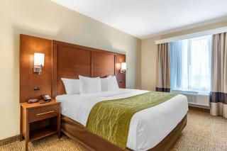 Comfort Suites San Antonio Ft Sam Houston-SAMMC Area - San Antonio - 3
