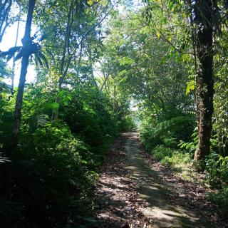 ECO Bedugul adventurer camp - Bedugul - 7