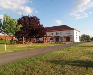 Vila Zoppas Inn - Sînnicolau Mare - 9