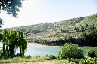 Vredehoek Guest Farm - Breerivier - 5
