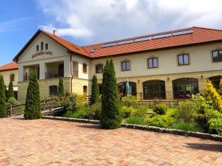 Aranybánya Hotel - Telkibánya - 9