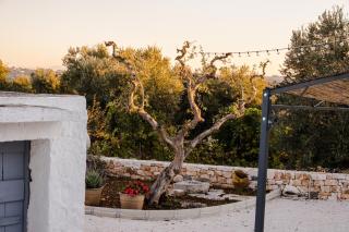 i trulli di Caterina - casa vacanza privata - Martina Franca - 5