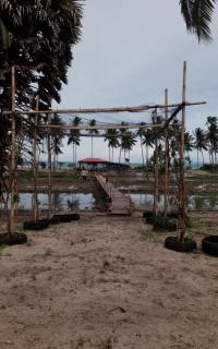 I - Talay Taling Ngam Samui - เขา ป่า นา เล ตลิ่งงาม สมุย - 8