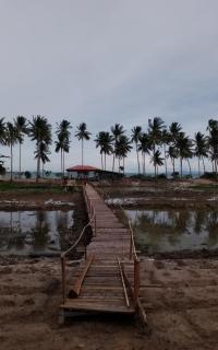 I - Talay Taling Ngam Samui - เขา ป่า นา เล ตลิ่งงาม สมุย - Strand Taling Ngam - 6