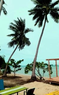 I - Talay Taling Ngam Samui - เขา ป่า นา เล ตลิ่งงาม สมุย - Strand Taling Ngam - 4