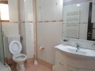 Vila Alunis - Buşteni - 2